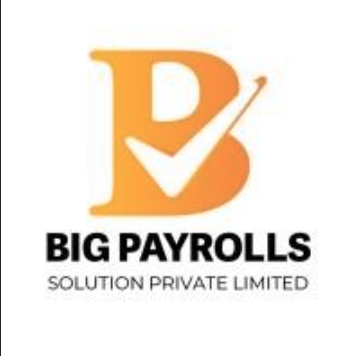 Big Payroll Solutions Pvt Ltd